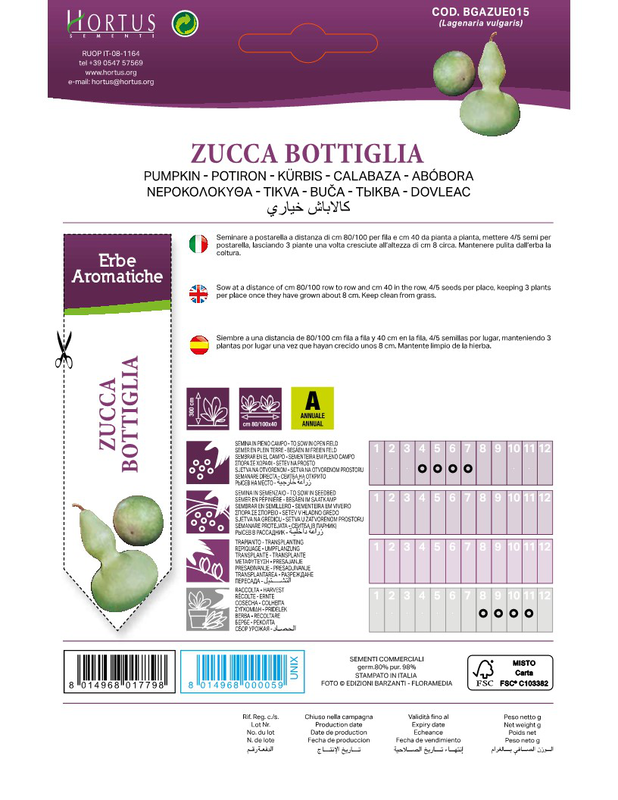 Zorzi bgazue01501i nerokoloko, , medium image number null