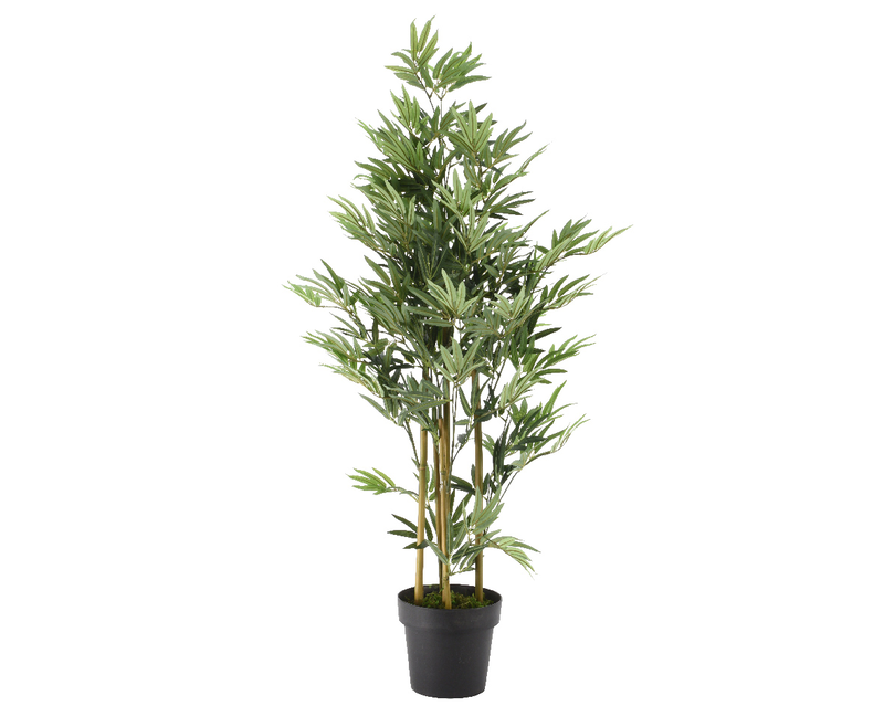 Bamboo in pot green, , medium-null