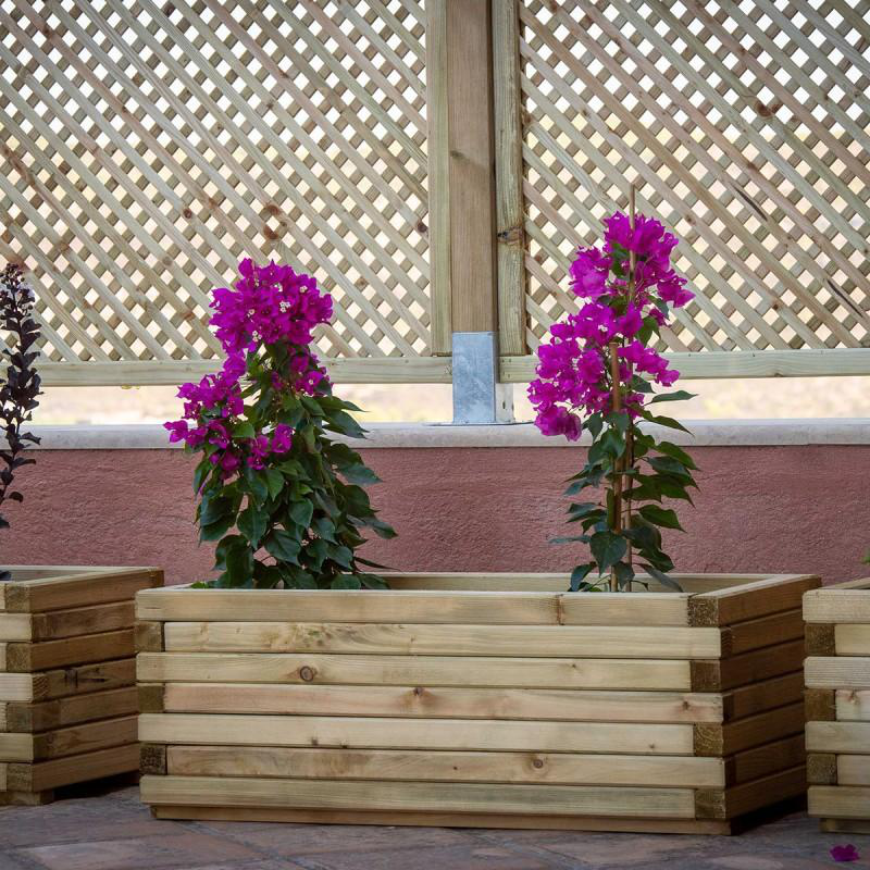 Showood &xi;&upsilon;&lambda;&iota;&nu;&eta; &omicron;&rho;&theta;&omicron;&gamma;&omega;&nu;&iota;&alpha; &gamma;&lambda;&alpha;&sigma;&tau;&rho;&alpha; 33x40x90cm, , medium-null