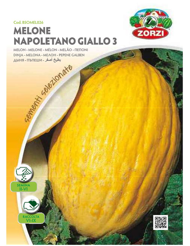 Zorzi bsomel026 meloν, , medium image number null