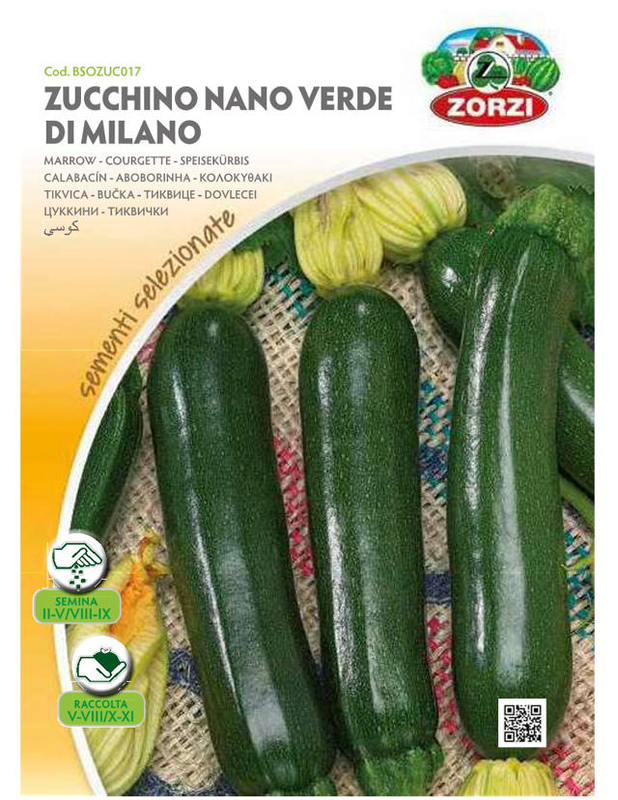 Zorzi bsozuc017 kolokithaki skour, , medium-null