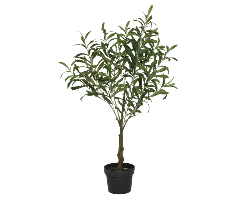 Olive tree in pot green, , medium-null