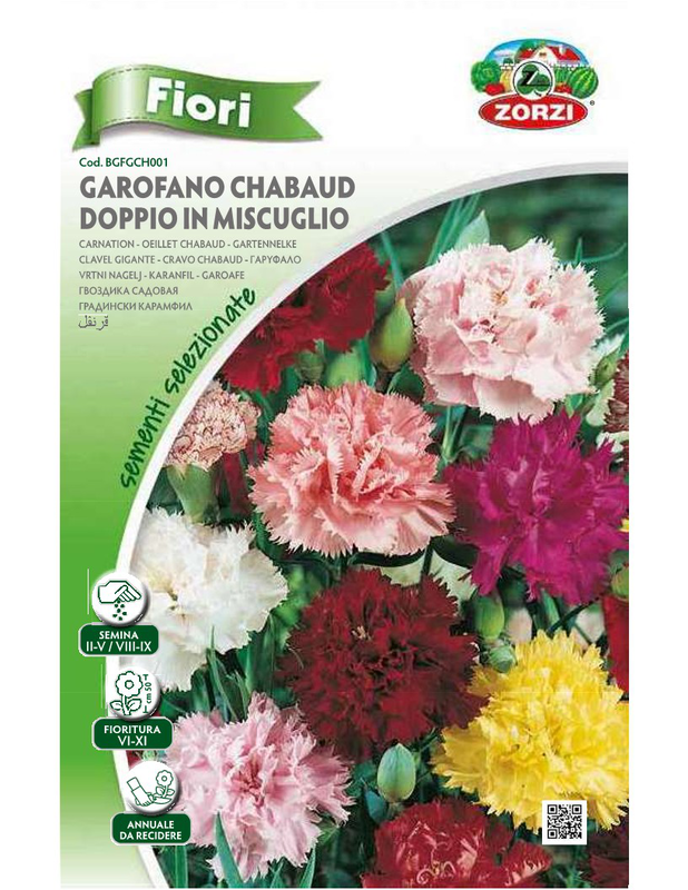 Zorzi bgfgh001 garifallo gigas, , medium-null
