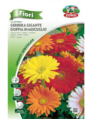 Zorzi bgfgrb001 zerpera