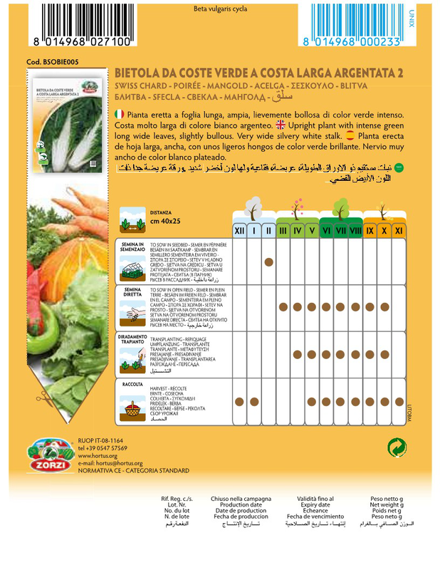 Product image: Zorzi bsobie005 laxano argentata, , medium-null