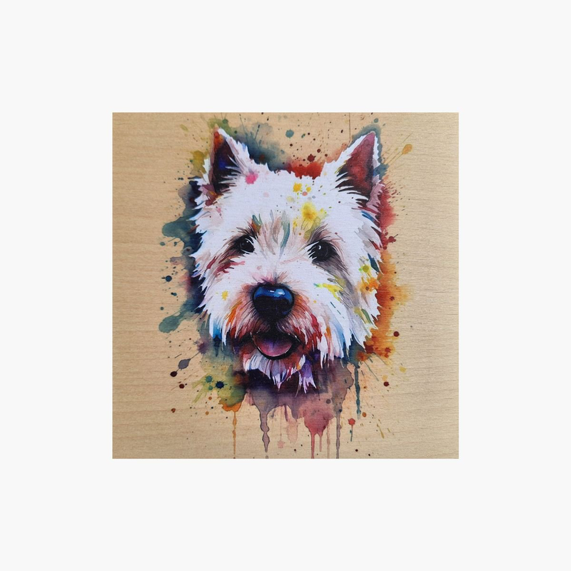 Westie splash art print on wood, , medium-null