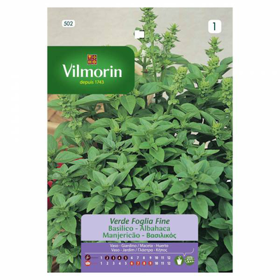Vilmorin βασιλικος