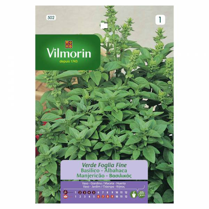 Vilmorin basil, , medium image number null