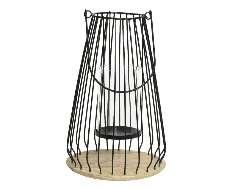 Lantern mango, , medium-null