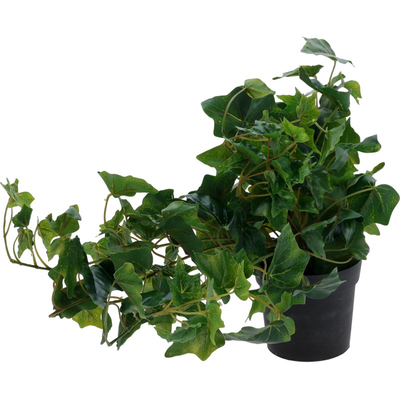 Hanging plant in pot 80cm - assorted designs, , medium