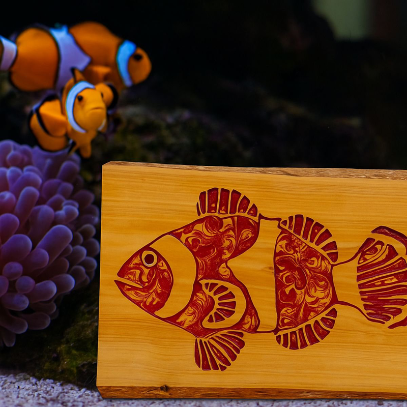 Clownfish resin wooden wall art, , medium-null