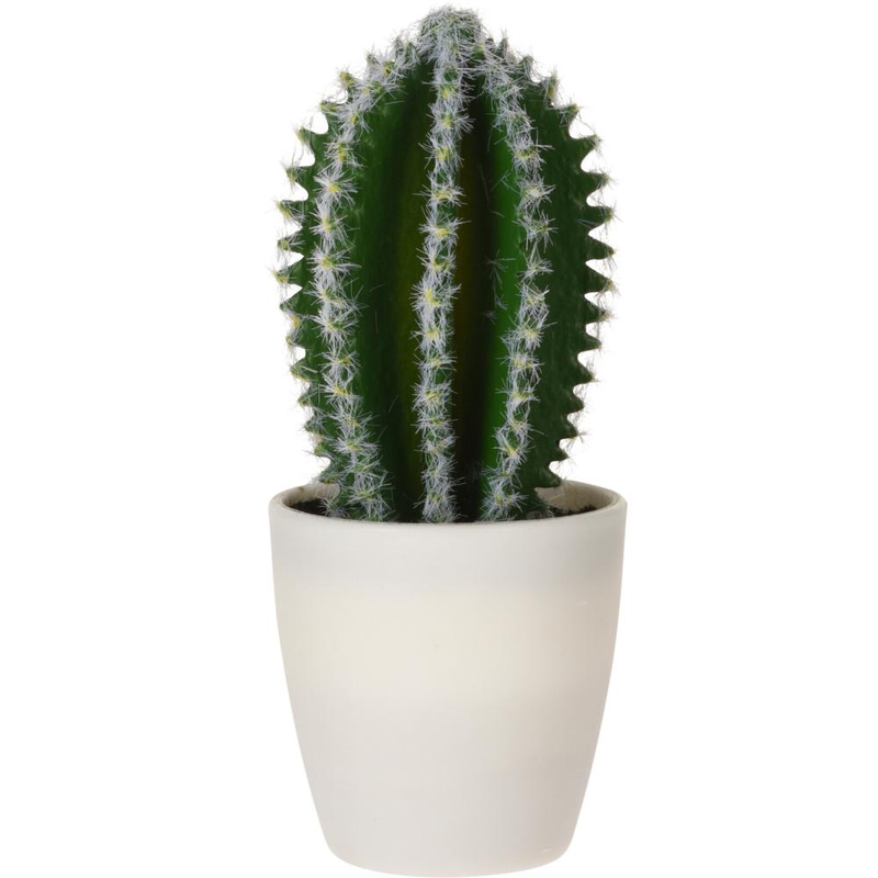 Plants in pot - assorted design, , medium-null