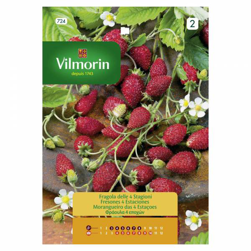 Product image: Vilmorin strawberry-plant four seasons, , medium-null