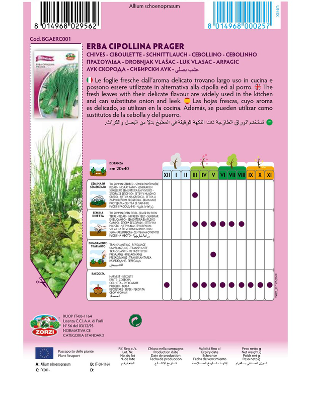 Product image: Zorzi bgaeco001 πρασουλιδα, , medium-null