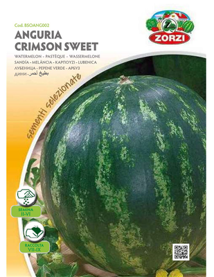 Zorzi bsoang002 karpouzi, , medium