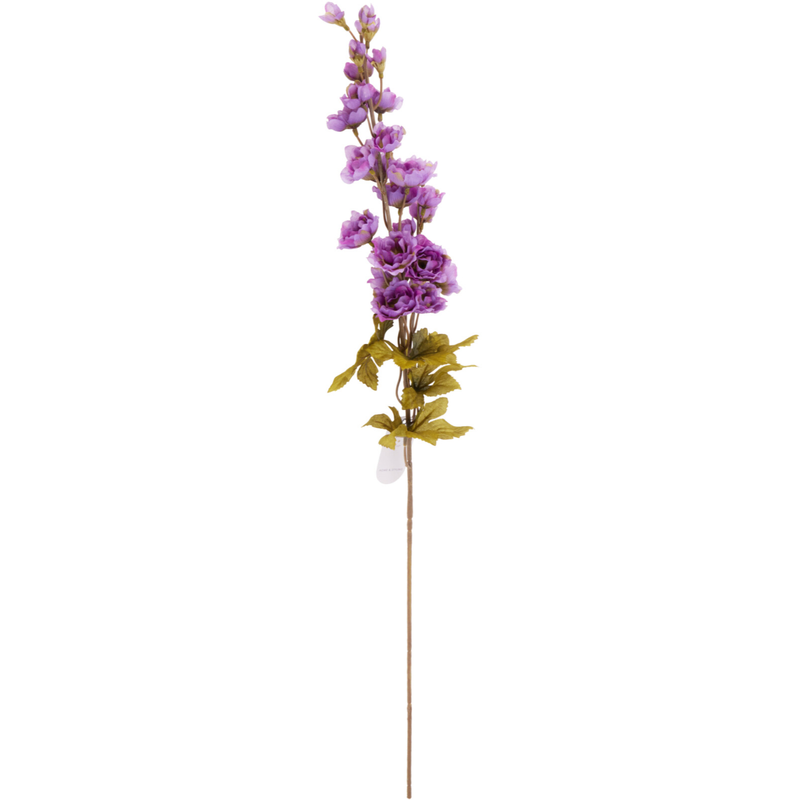 Delphinium 82 cm - assorted colors, , medium-null