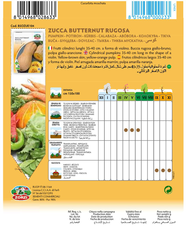 Zorzi bsozue104 kolokitha palkapa, , medium-null