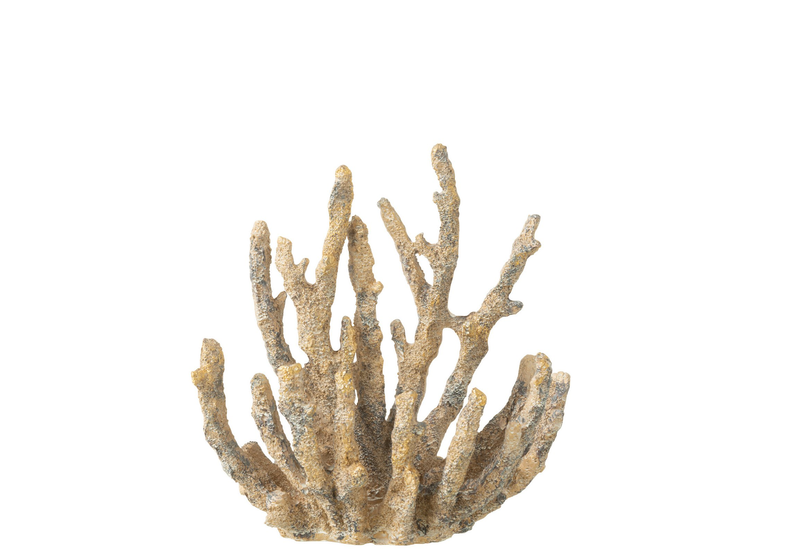 Coral brown/gold, , medium-null