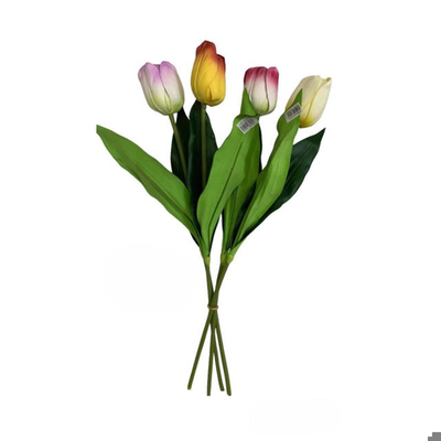 &Pi;&omicron;&upsilon;&lambda;&lambda;&iota;&pi; 64cm, , medium