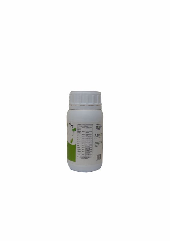 Veramin  ca image number null