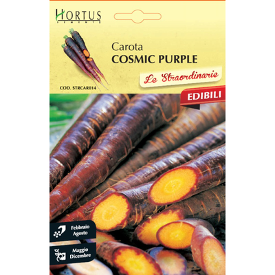 Zorzi straordinarie seed purple carrot 0.8gr, , medium