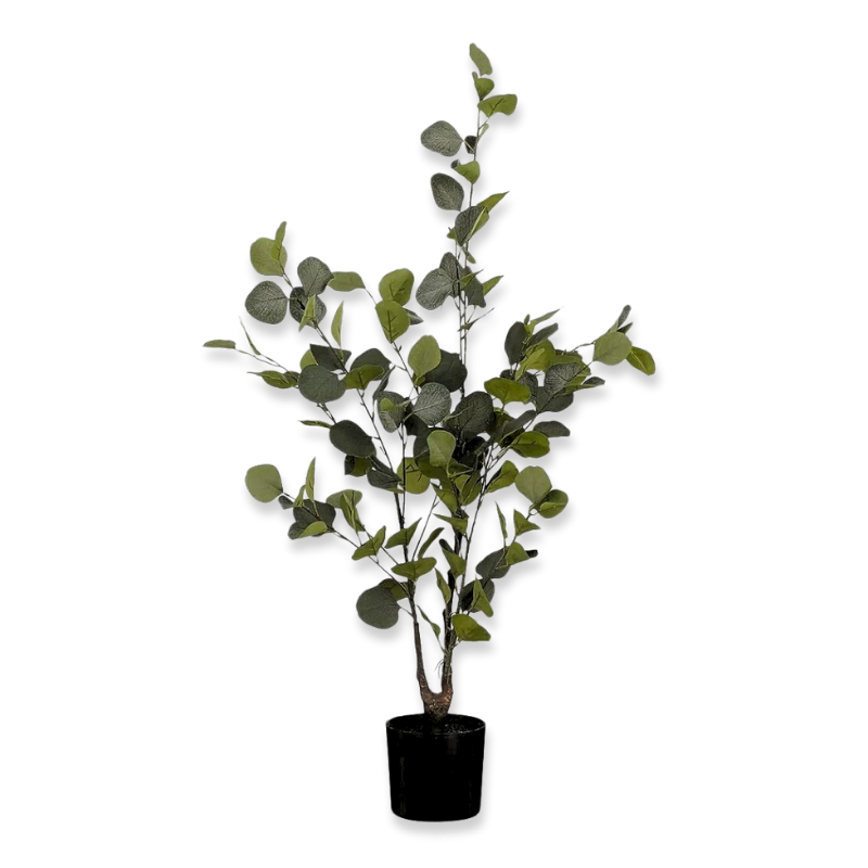 Product image: Mica eucalyptus tree in pot h120xd55cm, , medium-null