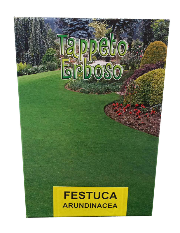 Festuga arundinacea titan 1kg, , medium image number null