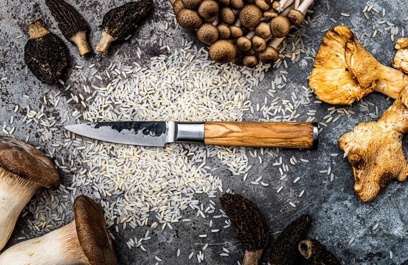 Forged olive wood paring knife 440c japanese steel 8.5cm, , medium image number null