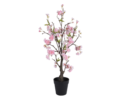 Pink cherry blossom tree, , medium