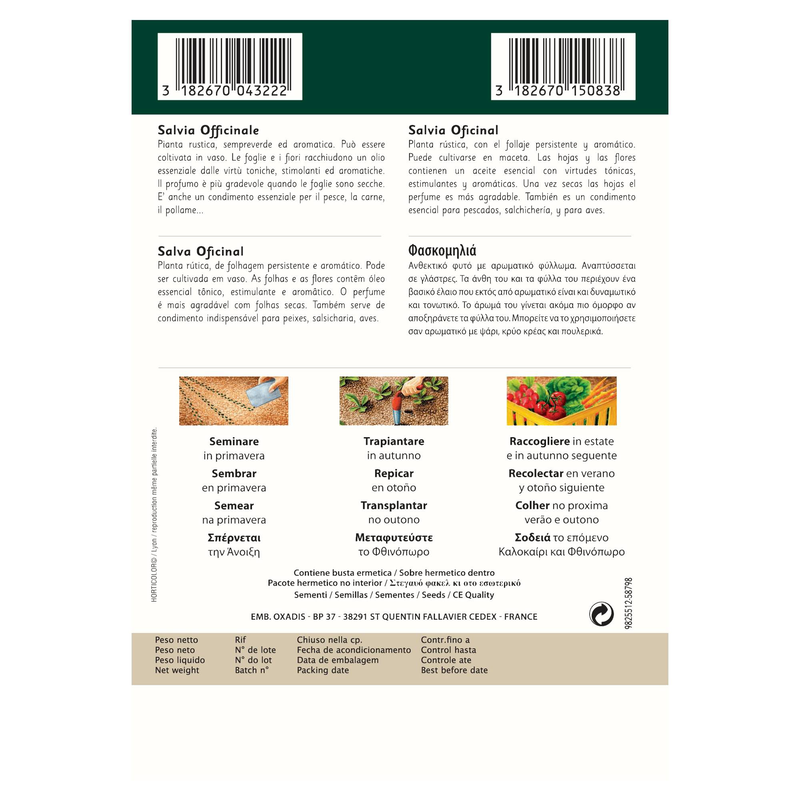 Vilmorin φασκομηλια, , medium-null