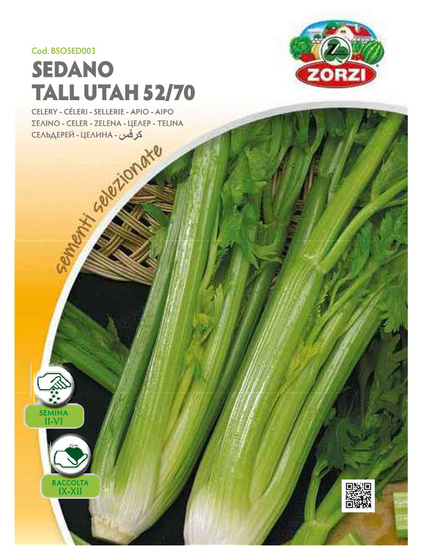 Product image: Zorzi bsosed003 selino, , medium-null