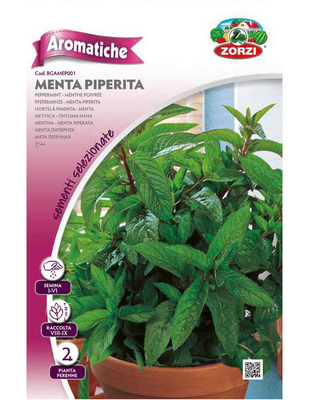 Zorzi bgamep001 peppermint, , medium