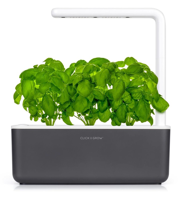 Click & grow sgs8uni smart garden 3 starter kit με 3 σπορους βασιλικου 30x12cm γκριζο, , medium image number null