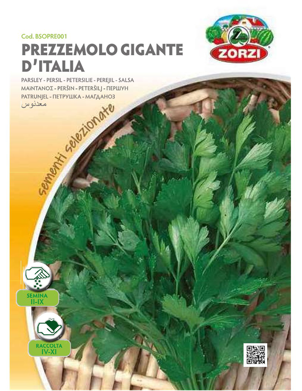 Zorzi bsopre001 parsley, , medium-null