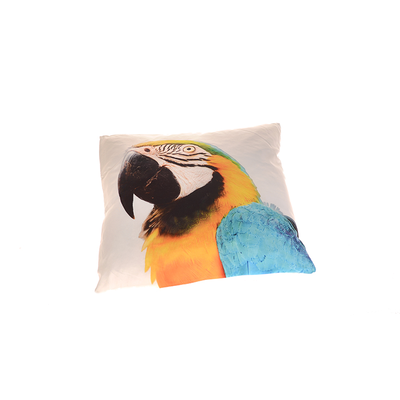 Cushion