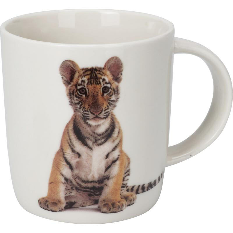 &Phi;&lambda;&iota;&nu;&tau;&zeta;&alpha;&nu;&iota; &alpha;&pi;&omicron; new bone &pi;&omicron;&rho;&sigma;&epsilon;&lambda;&alpha;&nu;&eta;, , medium-null