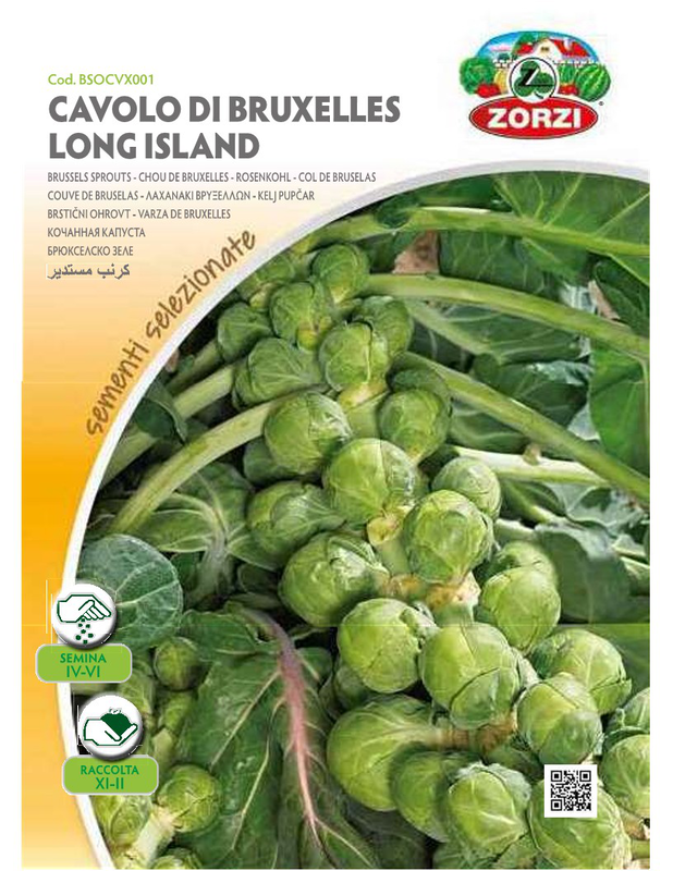 Zorzirzi bsocvx001 brussel sprouts, , medium image number null