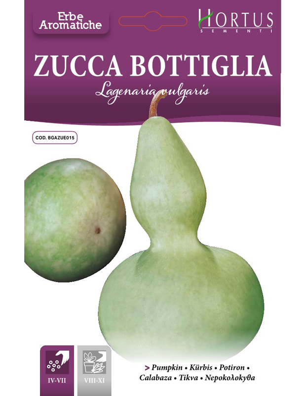 Zorzi bgazue01501i nerokoloko, , medium image number null