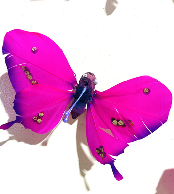 Butterfly magnet, , medium