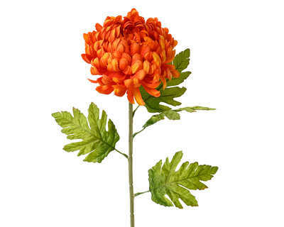 Chrysanthemum on stem orange, , medium