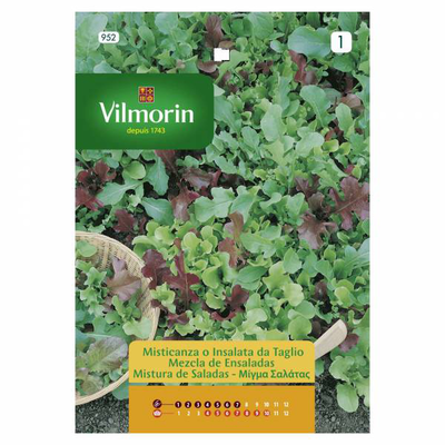 Vilmorin μιγμα σαλατας, , medium
