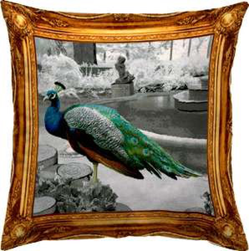 Decorative bird throw pillow-null