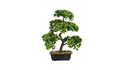 Bonsai in pot green, , medium
