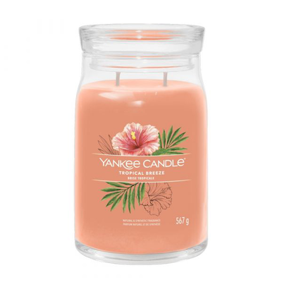 Yankee candle signature tropical breeze, , medium