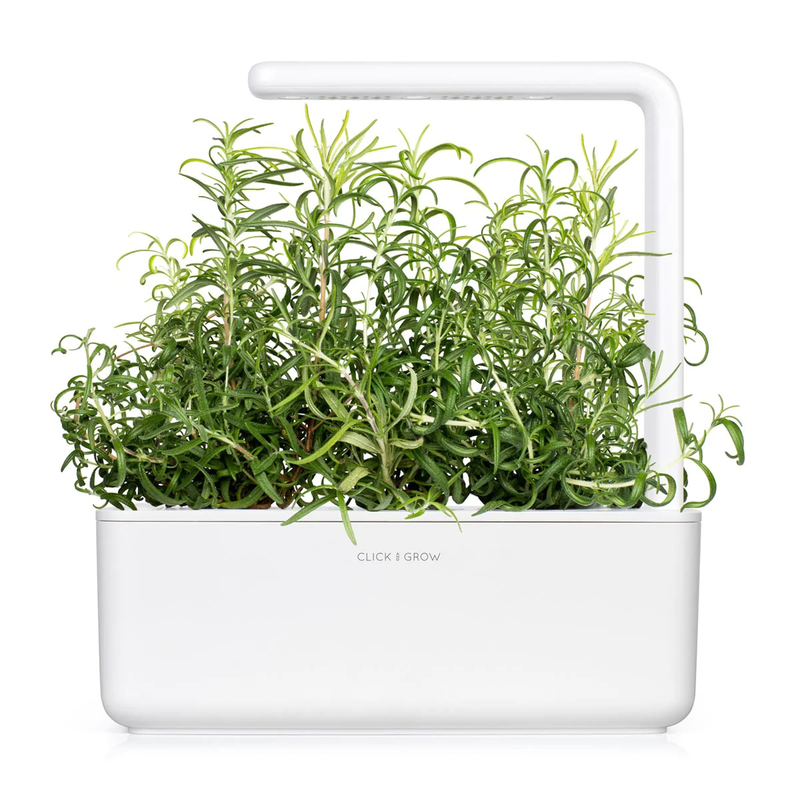 Click & grow sgr51x3 rosemary plant pods 3pcs, , medium image number null