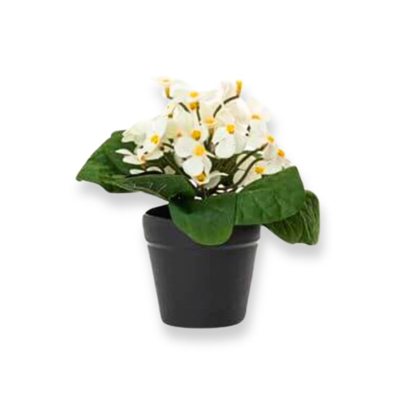 Ai artificial daisy flowers in plastic pot 20cm (available in 4 colours)-null