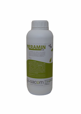 Veramin  ca