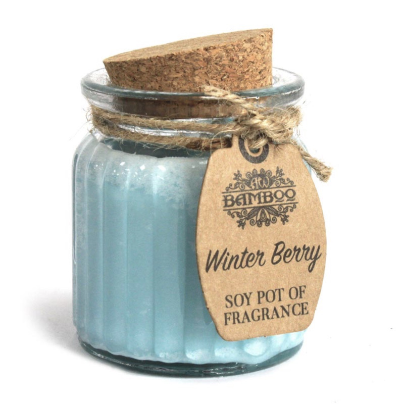 Fragrance candle - winter berry soy pot, , medium-null