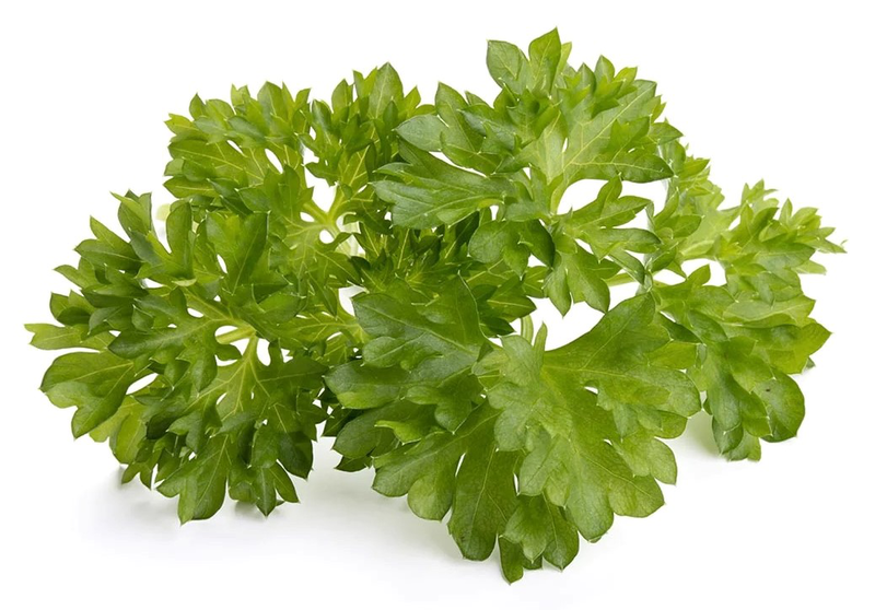Click & grow sgr13x3 συσκευασια σπορων μαιντανος 3τμχ, , medium image number null