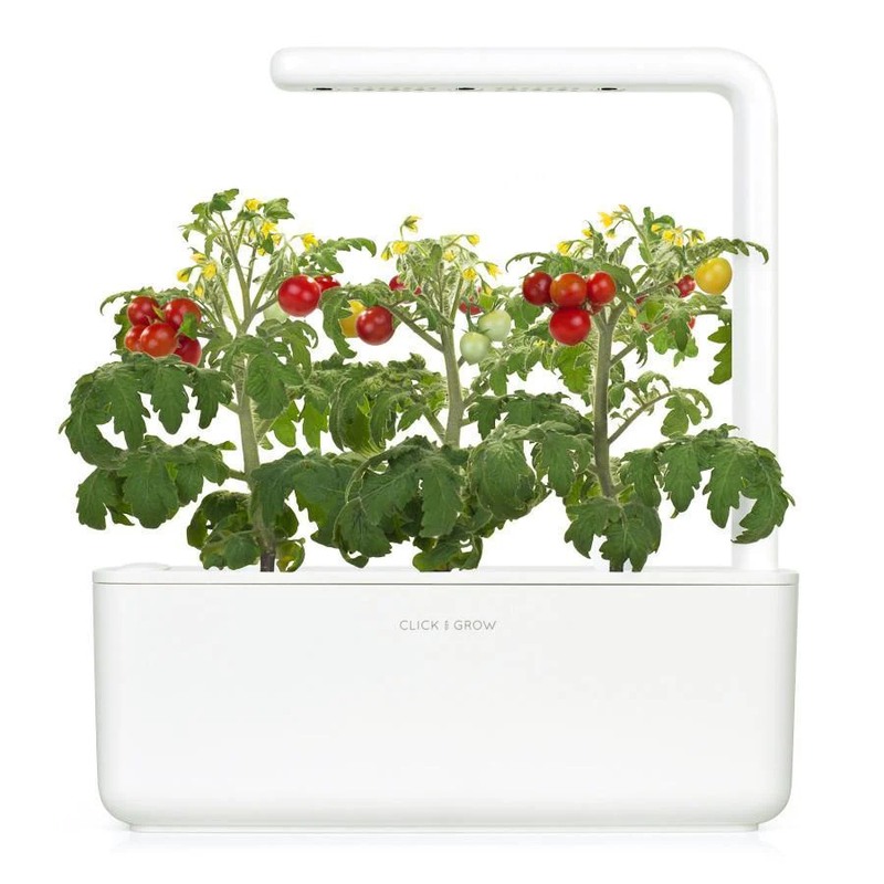 Click & grow sgr5x3 mini tomato plant pods 3pcs, , medium-null